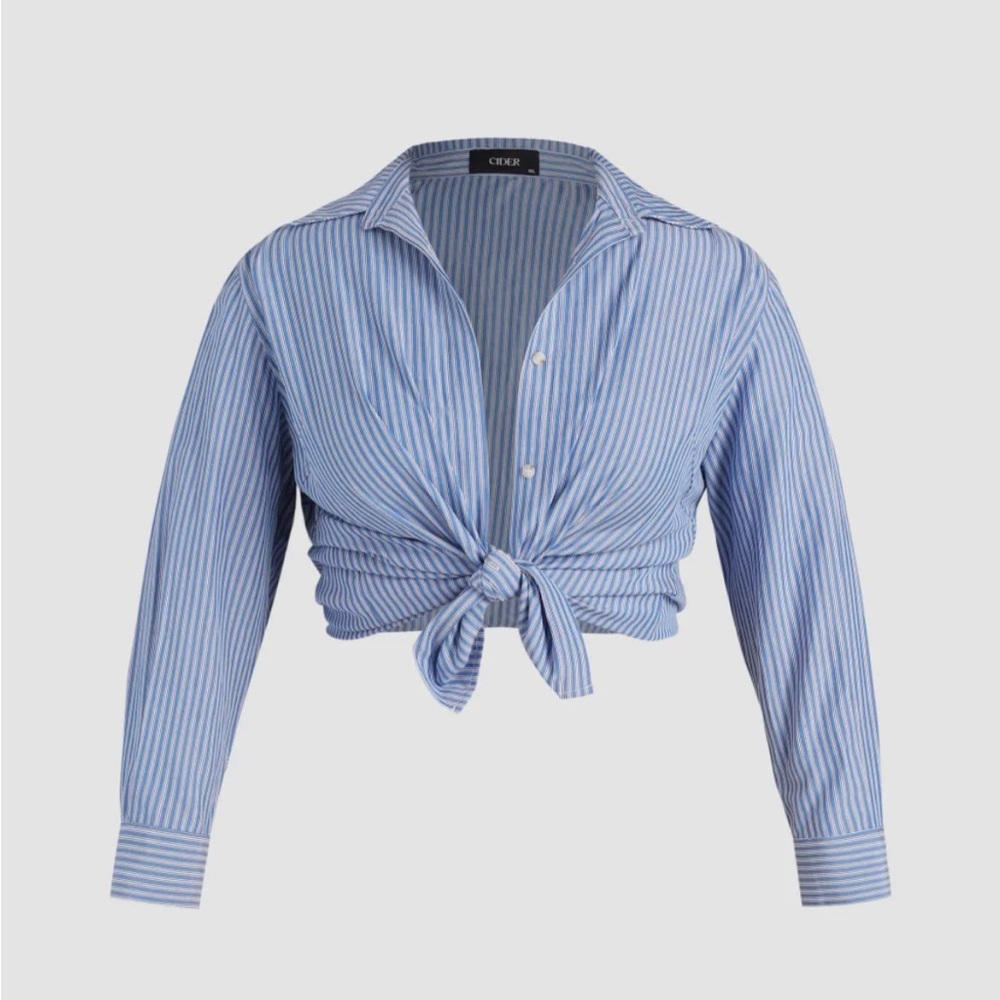 Plus Pinstripe Button Up Long Sleeve Shirt
